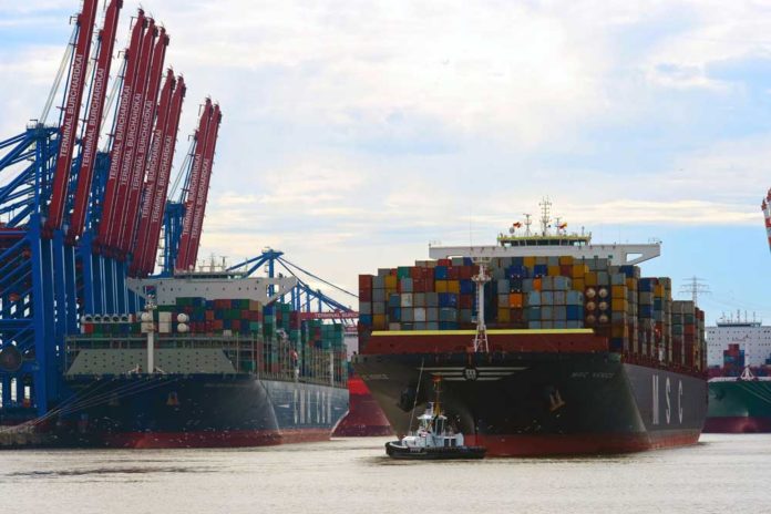 Hafen, Hamburg, HHLA, MSC, Hamburger Hafen, maritime Wirtschaft, Konjunktur