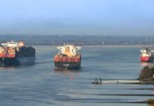 Hamburger Hafen, Containerschiffe, ConTex