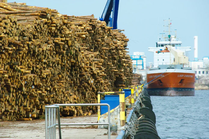 Ein deutlicher Rückgang im Holzumschlag hat auf die Jahresbilanz des Rostocker Fracht- und Fischereihafens (RFH) gedrückt.