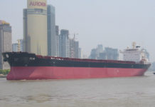 Bulk carrier Clio of Diana Shipping