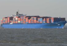 Containerschiff Diana, Puelo