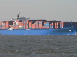 Containerschiff Diana, Puelo