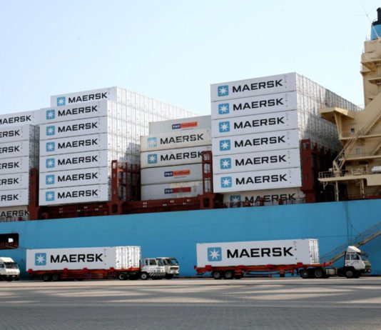 Maersk Reefer, Kühlcontainer