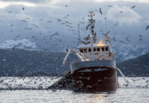Turbolader in Fischtrawlern werden stakt beansprucht