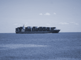 Containerschiff, Secondhand, Containerflotte, AAC, Feeder-Neubauten, Ernst Russ, Symbol, D. Oltmann
