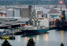 Reefer-Frachter »Southampton Star« eröffnet die Kiwi-Saison ex Neuseeland
