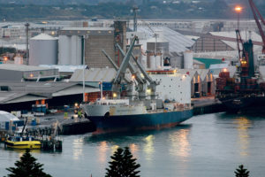 Reefer-Frachter »Southampton Star« eröffnet die Kiwi-Saison ex Neuseeland