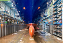 Spirit of Discovery im Dock der Meyer Werft