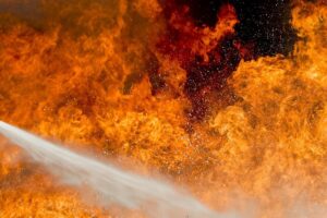 FEUER, Bauhinia, Smit Salvage