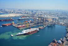 Bijela-Shipyard, DP World, Drydocks