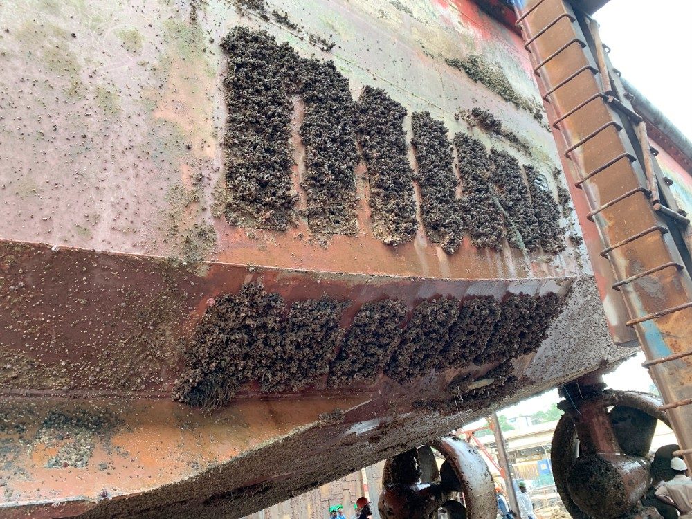 Auf einem Schlepper mit Einsatzgebiet Südafrika wurden am Rumpf 16 Schallgeber von Hasytec installiert © Hasytec