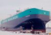 Car Carrier, Autofrachter, Wallenius Wilhelmsen