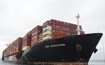Zim Kingston Containerschiff
