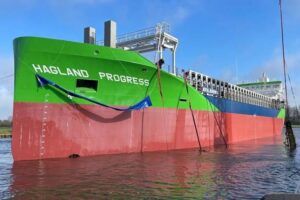 Hagland, Bodewes