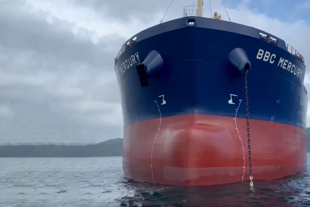 BBC Mercury, Briese Schiffahrt