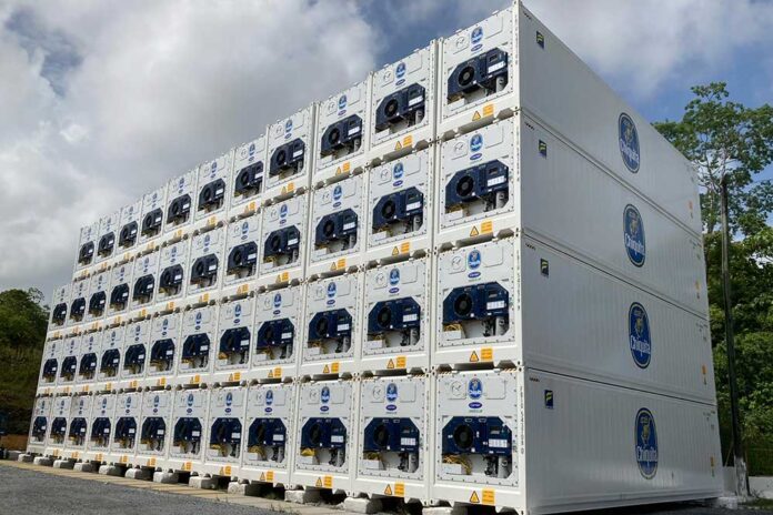 Chiquita Reefers Kuehlcontainer Carrier Transicold
