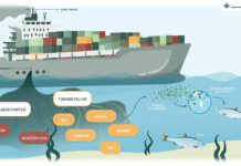 Scrubber-Abwasser Umweltninisterium Daenemark Infografik