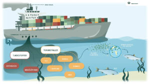 Scrubber-Abwasser Umweltninisterium Daenemark Infografik