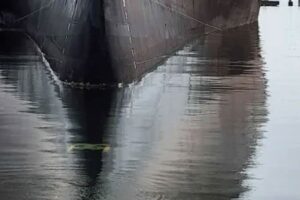 Unterwasserinstandhaltung / Greensea IQ