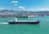 MPC Container Ships, Zim Danube, Ecobox, Neubauten