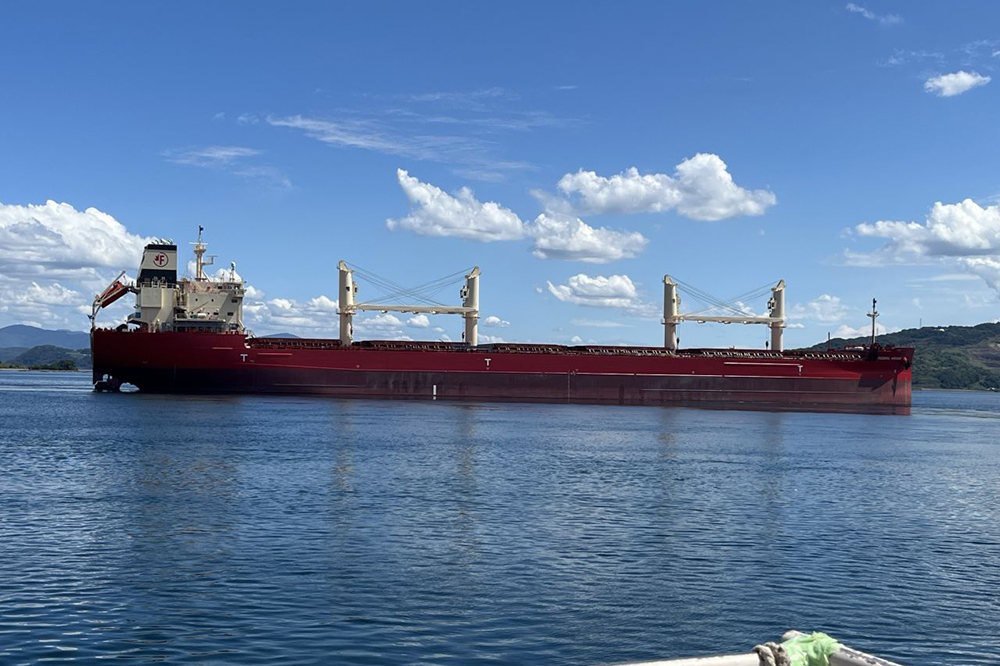 Fednav, Great Lakes, große Seen, Federal Michigan