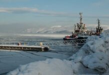 Kirkenes, Hafen, Cosco, Norwegen