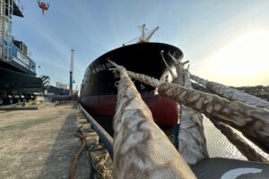 Whale Orca, Carrier53'