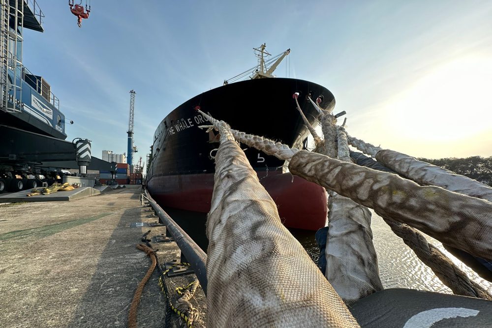Whale Orca, Carrier53'