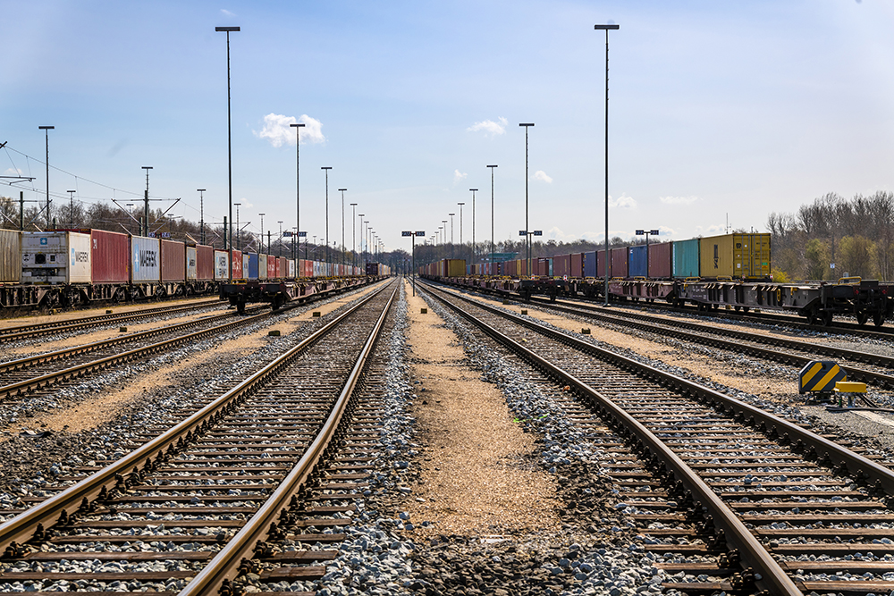 Breiter Blick entlang mehrerer parallel verlaufender Güterbahngleise in einem Hafen-Rangierbereich. Auf beiden Seiten stehen lange Reihen von Containertragwagen mit bunten Boxen; zahlreiche Lichtmasten säumen die Gleise. Am Horizont Bäume, klarer Himmel.
