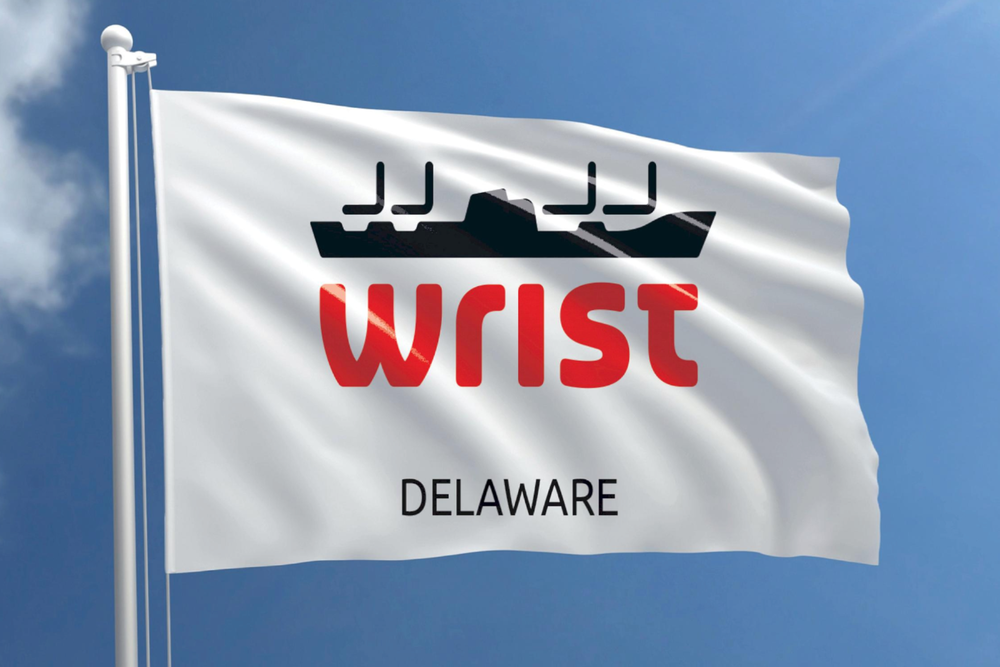 Flagge von Wrist Delaware