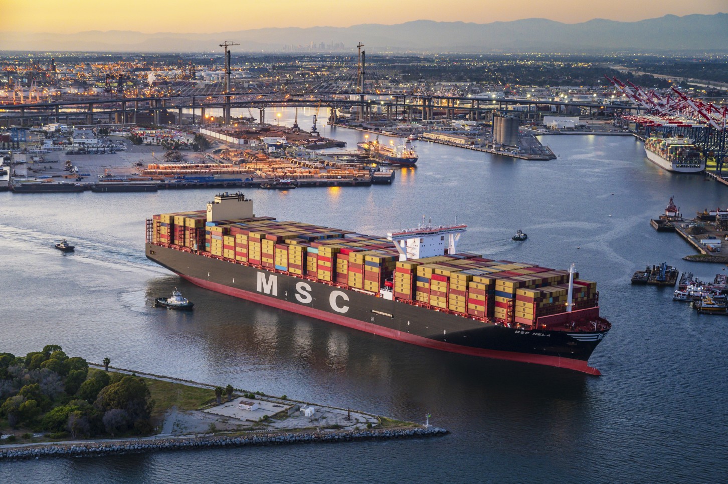 MSC