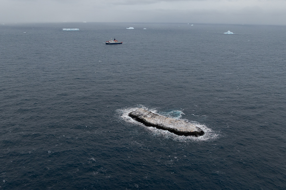 Teilnehmende einer Antarktis-Expedition mit der Polarstern haben im Weddellmeer eine Insel entdeckt, die bisher auf Seekarten noch nicht verzeichnet ist. Die Insel ist etwa 130 Meter lang, 50 Meter breit und ragt ungefähr 16 Meter aus dem Wasser