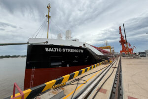 Die „Baltic Strength“ („Insel Föhr“) wird bei Dajin Heavy Industry für die Wyker Reederei W.D.R. gebaut. Die Bereederung übernimmt Kontor 17 (© Kontor 17)