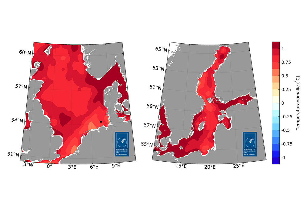 Abweichung des Jahresmittels der Oberflächentemperaturen in 2025 zum langjährigen Mittel von 1997 bis 2021 für die Nordsee (links) und für die Ostsee (rechts); (Quelle: BSH)