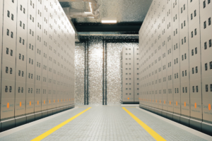 Das Batteriesystem Blue Whale NxtGen Energy hat die DNV-Typzulassung sowohl für die luftgekühlte als auch für die flüssigkeitsgekühlte Ausführung erhalten (© Corvus Energy)